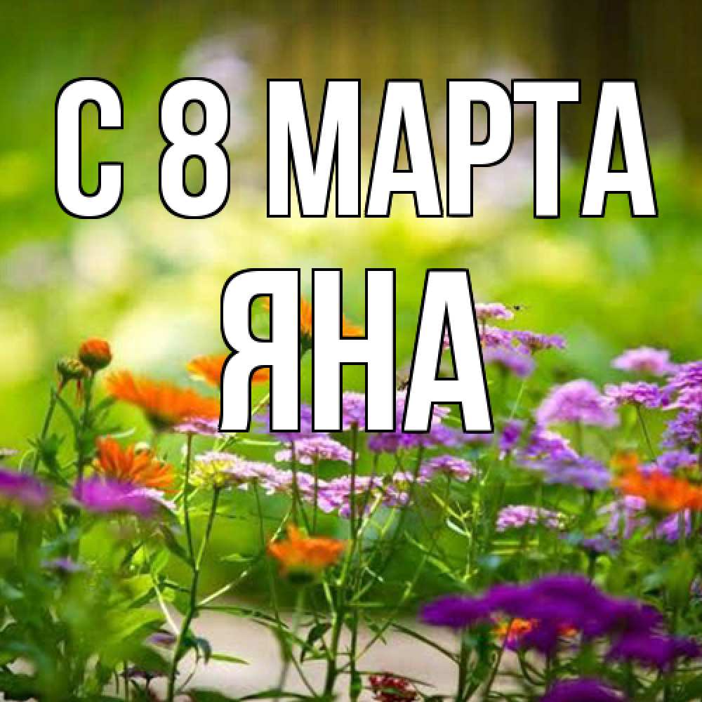 Открытка на каждый день с именем, Яна C 8 МАРТА цветы Прикольная открытка с пожеланием онлайн скачать бесплатно 