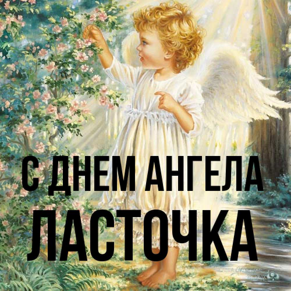 Открытка на каждый день с именем, Ласточка С днем ангела собирает цветы Прикольная открытка с пожеланием онлайн скачать бесплатно 