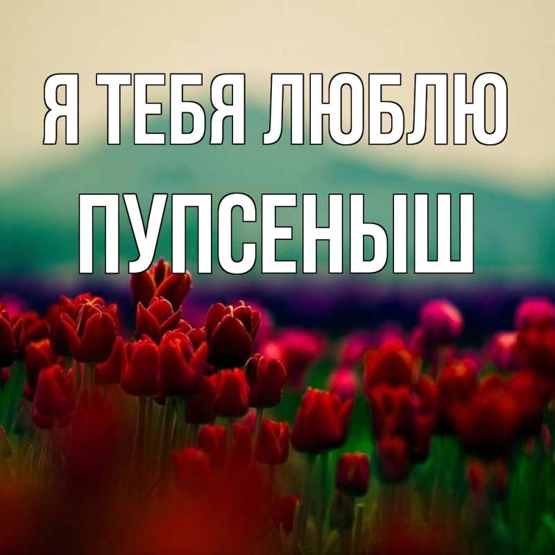Картинка Я тебя люблю, пупсеныш