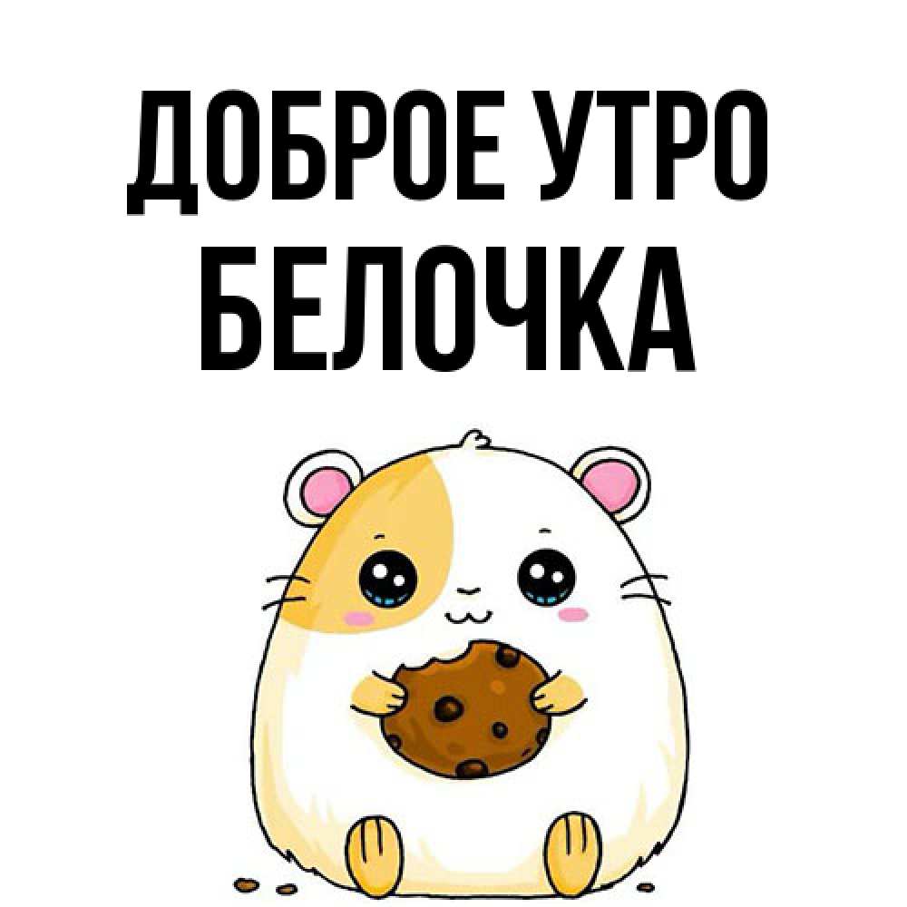 Открытка на каждый день с именем, Белочка Доброе утро есть печеньку. Утречко Прикольная открытка с пожеланием онлайн скачать бесплатно 