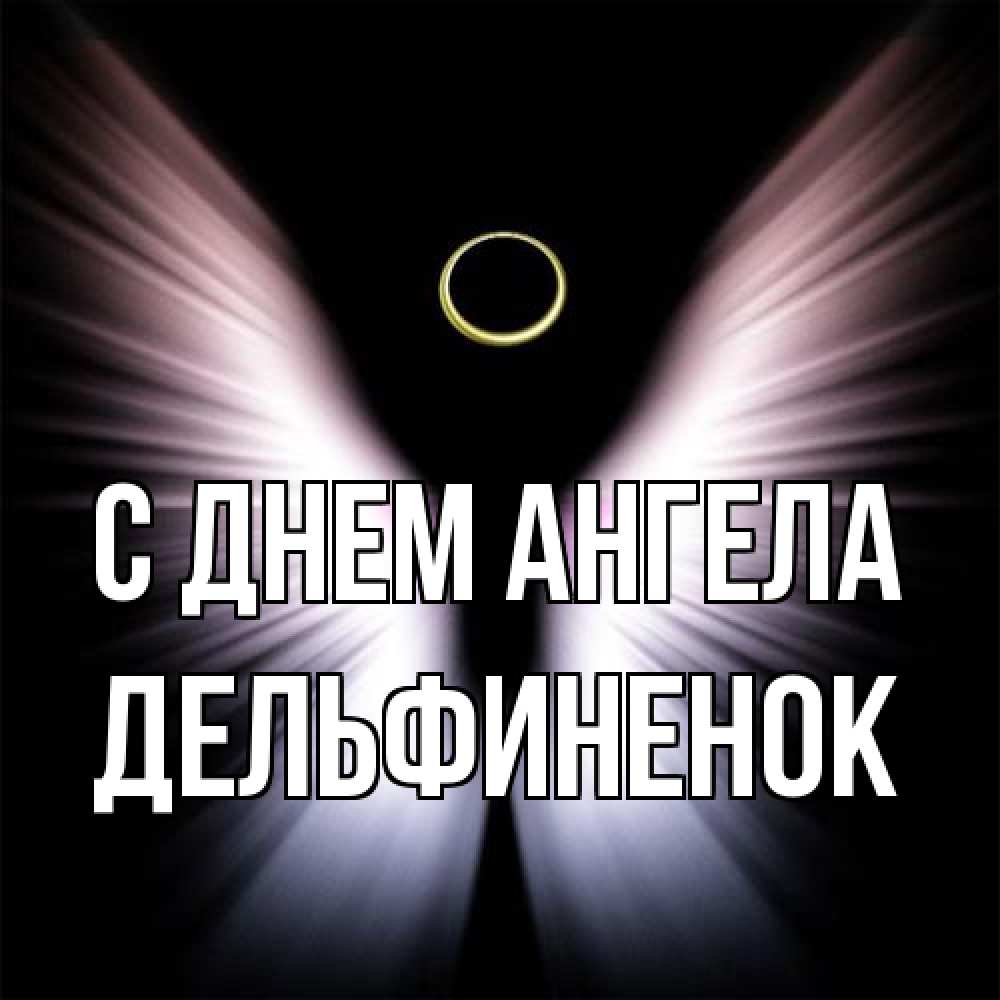 Открытка на каждый день с именем, дельфиненок С днем ангела ангел из света Прикольная открытка с пожеланием онлайн скачать бесплатно 