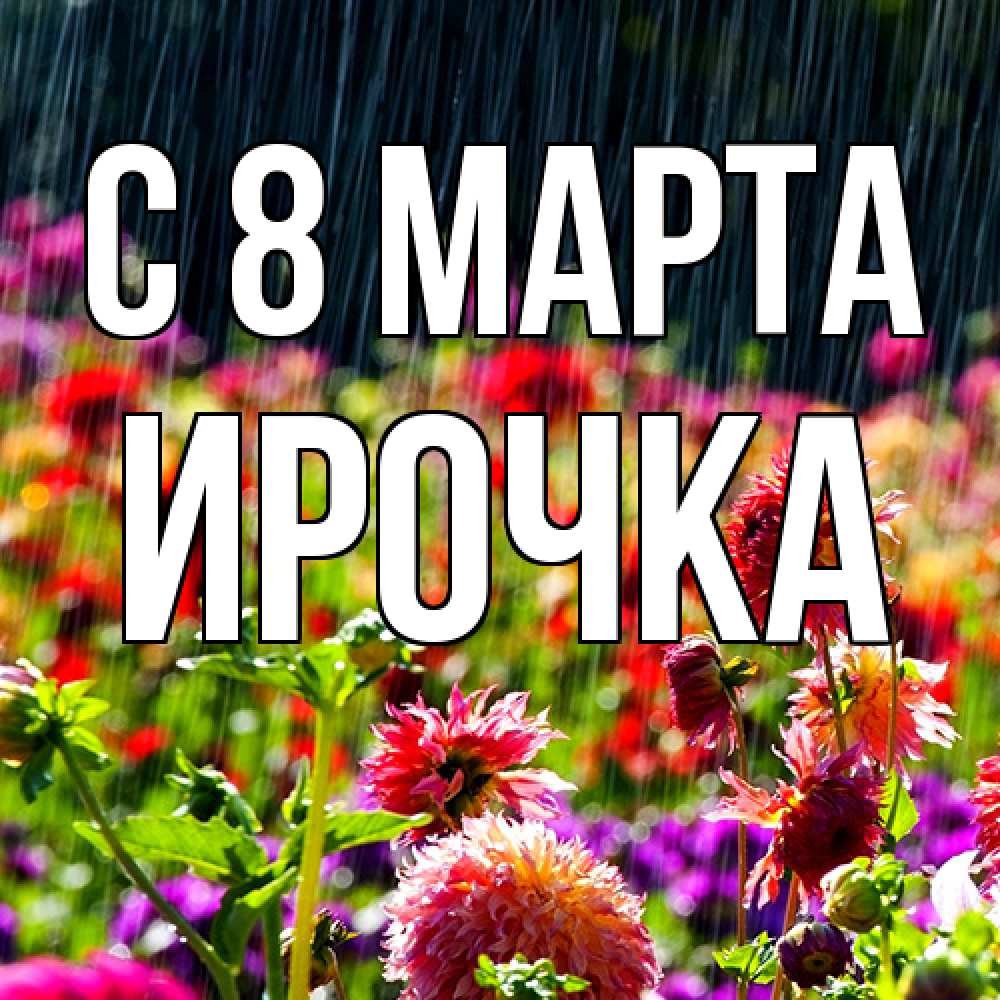 Открытка на каждый день с именем, Ирочка C 8 МАРТА цветы под дождиком к международному женскому дню Прикольная открытка с пожеланием онлайн скачать бесплатно 