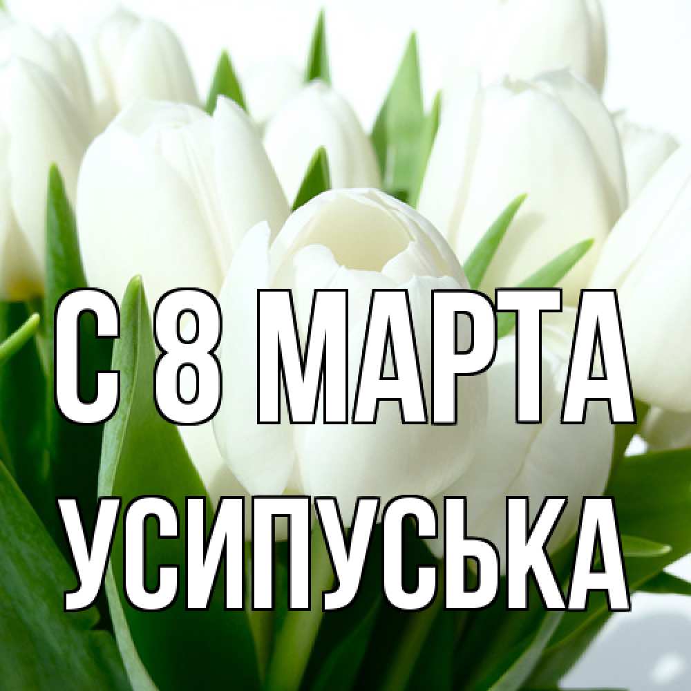Открытка на каждый день с именем, усипуська C 8 МАРТА цветы Прикольная открытка с пожеланием онлайн скачать бесплатно 