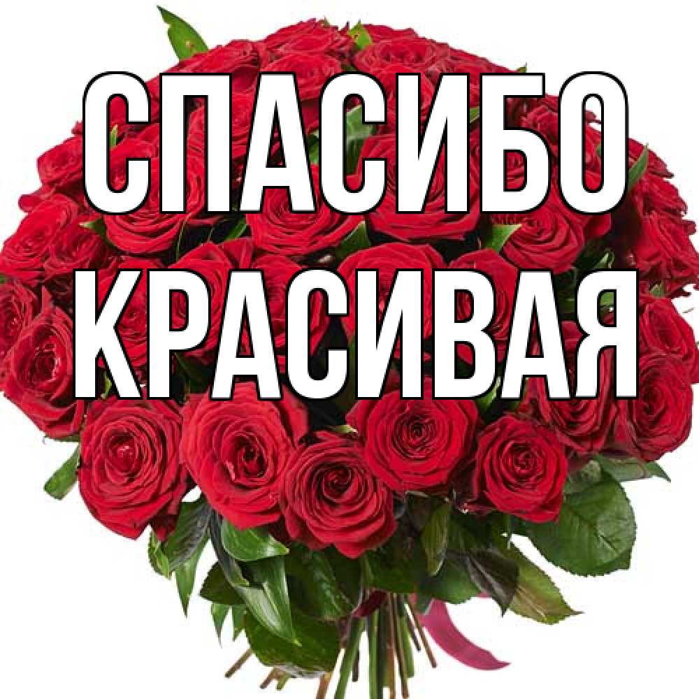 Открытка на каждый день с именем, Красивая Спасибо букет красных роз Прикольная открытка с пожеланием онлайн скачать бесплатно 
