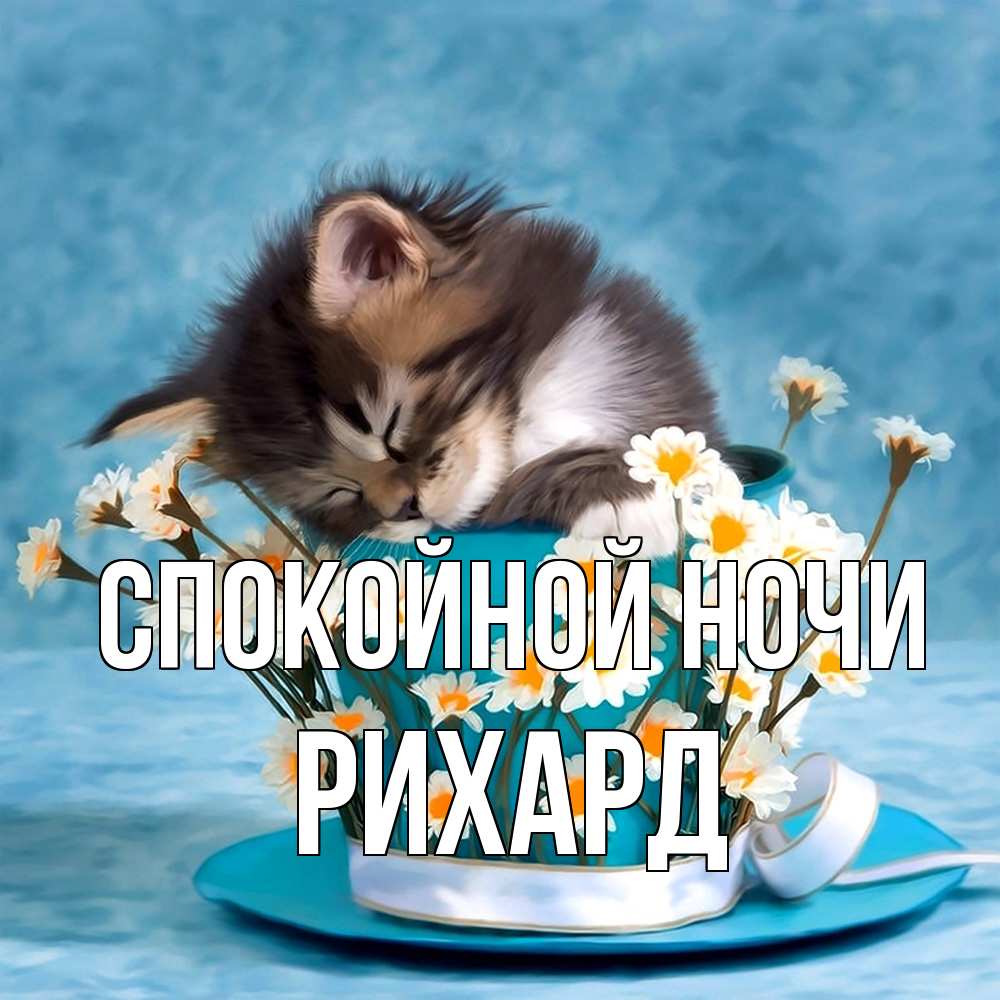 Открытка на каждый день с именем, Рихард Спокойной ночи котенок спит в кружке с блюдцем Прикольная открытка с пожеланием онлайн скачать бесплатно 