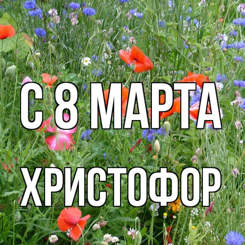 Картинка C 8 МАРТА, Христофор