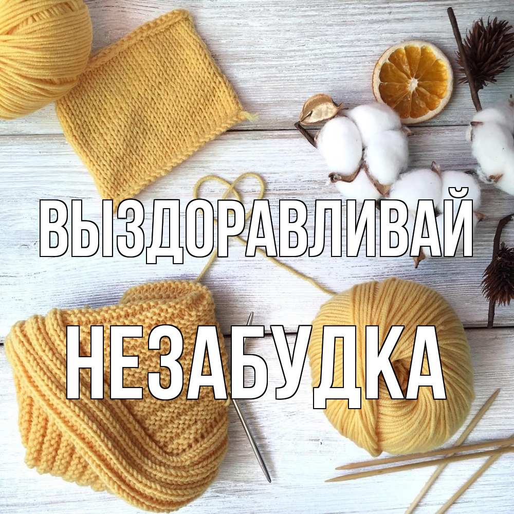 Открытка на каждый день с именем, Незабудка Выздоравливай выздоравливай Прикольная открытка с пожеланием онлайн скачать бесплатно 