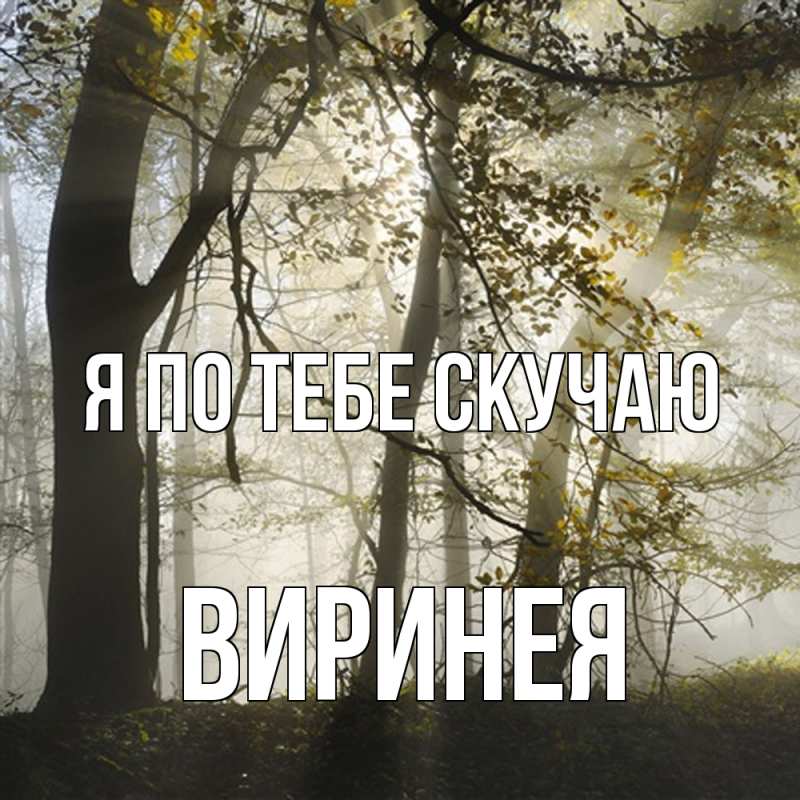 Картинка Я по тебе скучаю, Виринея