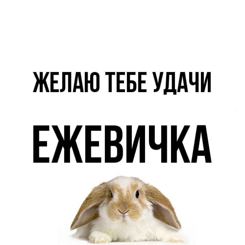 Открытка на каждый день с именем, ежевичка Желаю тебе удачи открытки с произвольным текстом который можно вставить в открытку и создать ее самостоятельно бесплатно онлайн Прикольная открытка с пожеланием онлайн скачать бесплатно 