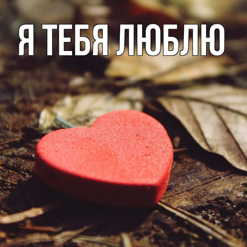 Картинка Я тебя люблю, 