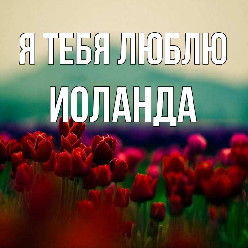 Картинка Я тебя люблю, Иоланда