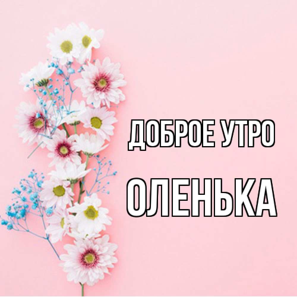 Открытка на каждый день с именем, Оленька Доброе утро цветы с подписью Прикольная открытка с пожеланием онлайн скачать бесплатно 