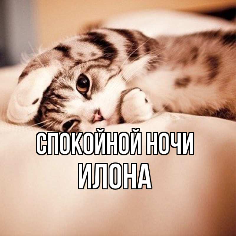 Открытка с именем, Илона, Спокойной ночи