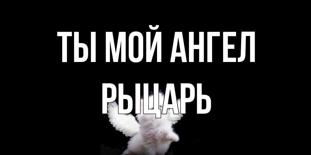 Открытка на каждый день с именем, Рыцарь Ты мой ангел Кот ангел Прикольная открытка с пожеланием онлайн скачать бесплатно 