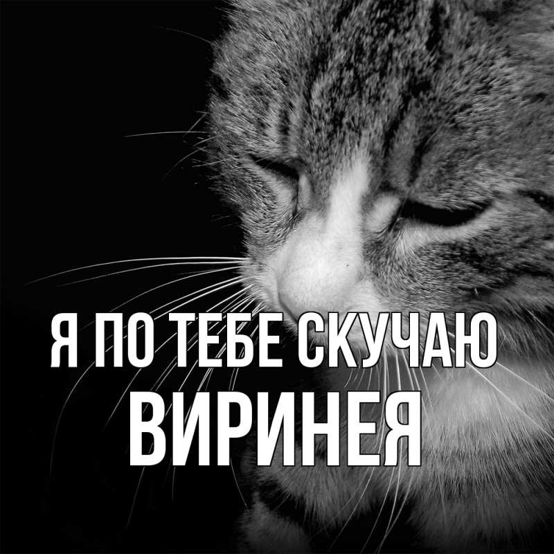Картинка Я по тебе скучаю, Виринея