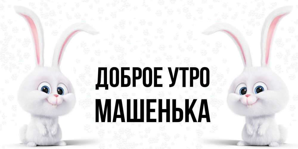 Открытка на каждый день с именем, Машенька Доброе утро кролики с длинными ушками Прикольная открытка с пожеланием онлайн скачать бесплатно 