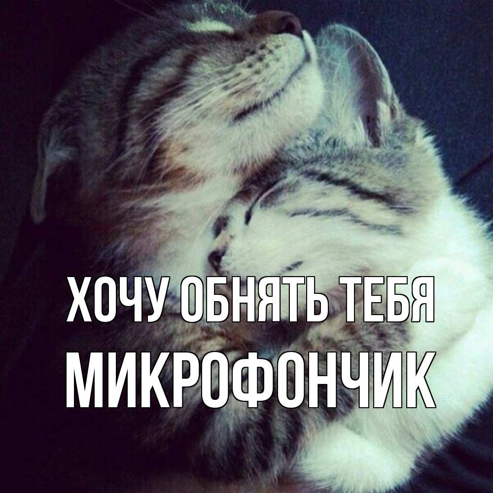 Открытка на каждый день с именем, Микрофончик Хочу обнять тебя полосатики Прикольная открытка с пожеланием онлайн скачать бесплатно 