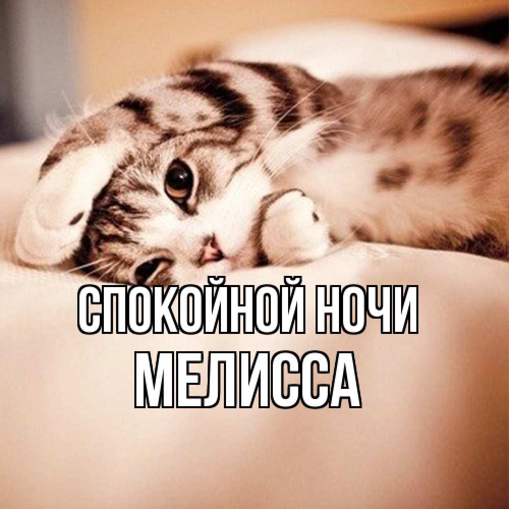Открытка на каждый день с именем, Мелисса Спокойной ночи сладких снов с животными Прикольная открытка с пожеланием онлайн скачать бесплатно 