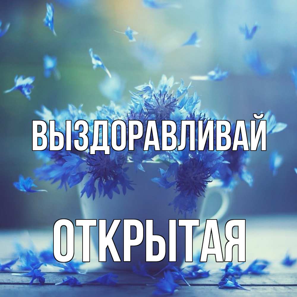 Открытка на каждый день с именем, открытая Выздоравливай кружка с зельем и цветами Прикольная открытка с пожеланием онлайн скачать бесплатно 
