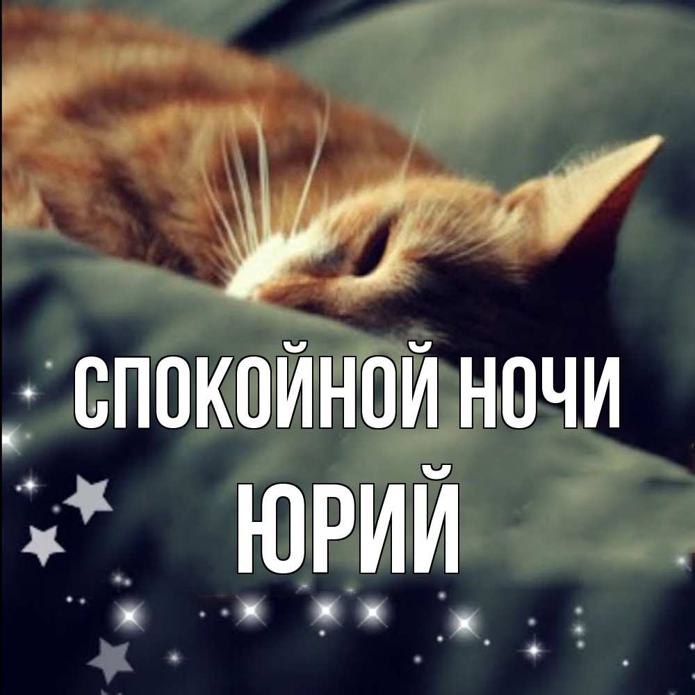 Открытка на каждый день с именем, Юрий Спокойной ночи кроватка Прикольная открытка с пожеланием онлайн скачать бесплатно 
