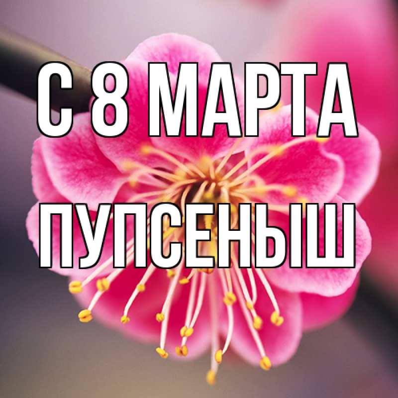 Картинка C 8 МАРТА, пупсеныш