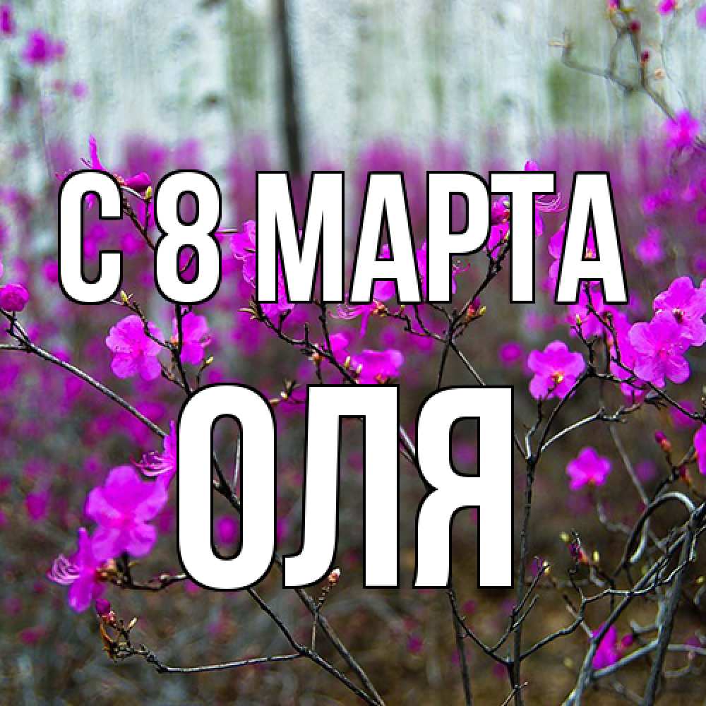 Открытка на каждый день с именем, Оля C 8 МАРТА дикие цветы Прикольная открытка с пожеланием онлайн скачать бесплатно 
