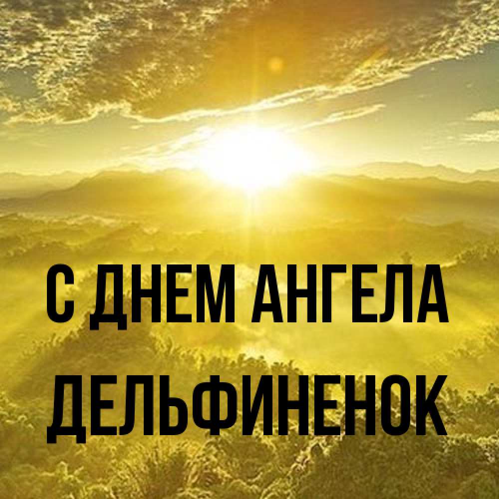 Открытка на каждый день с именем, дельфиненок С днем ангела леса и небо в желтом Прикольная открытка с пожеланием онлайн скачать бесплатно 