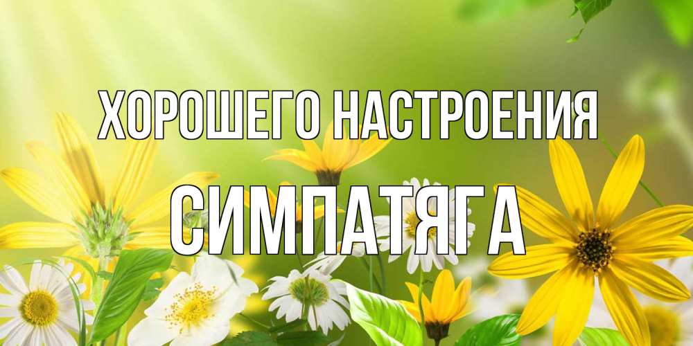 Открытка на каждый день с именем, Симпатяга Хорошего настроения цветы Прикольная открытка с пожеланием онлайн скачать бесплатно 