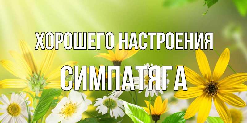 Картинка Хорошего настроения, Симпатяга