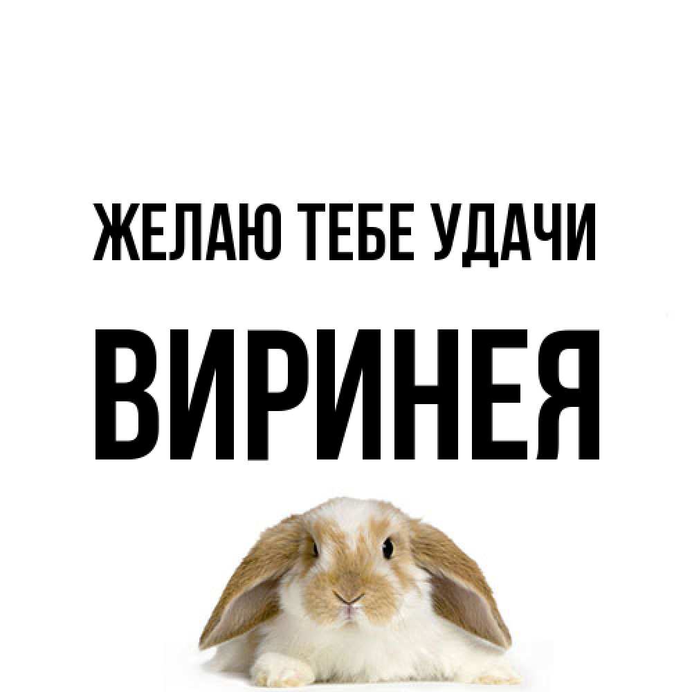 Открытка на каждый день с именем, Виринея Желаю тебе удачи открытки с произвольным текстом который можно вставить в открытку и создать ее самостоятельно бесплатно онлайн Прикольная открытка с пожеланием онлайн скачать бесплатно 