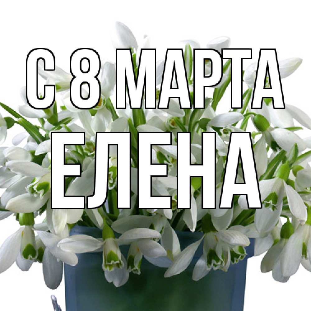 Открытка на каждый день с именем, Елена C 8 МАРТА цветы к международному женскому дню Прикольная открытка с пожеланием онлайн скачать бесплатно 