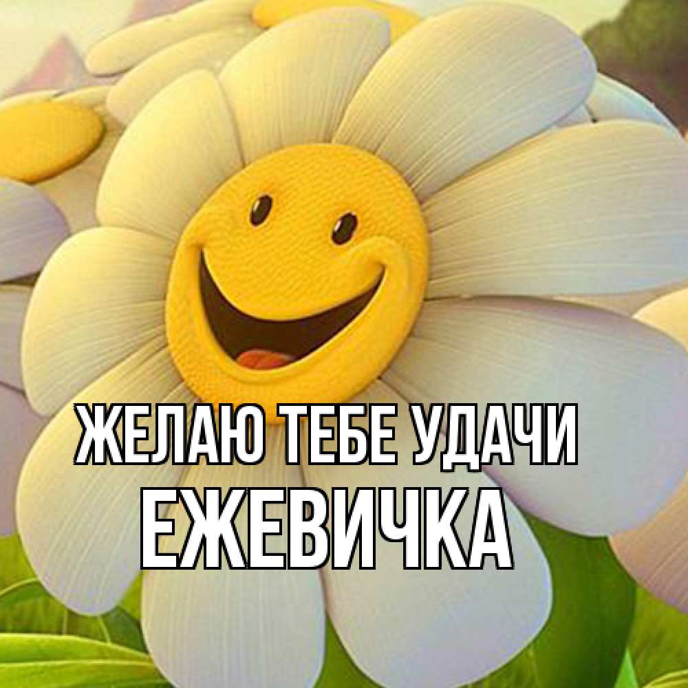 Открытка на каждый день с именем, ежевичка Желаю тебе удачи подписать открытку своим текстом Прикольная открытка с пожеланием онлайн скачать бесплатно 