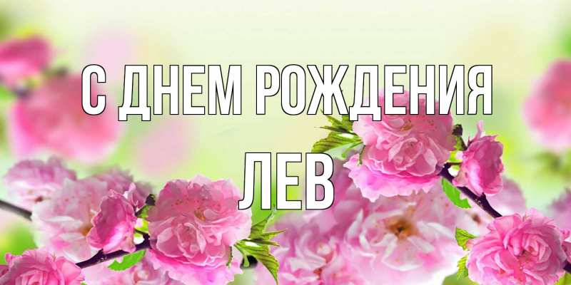 Картинка С днем рождения, Лев