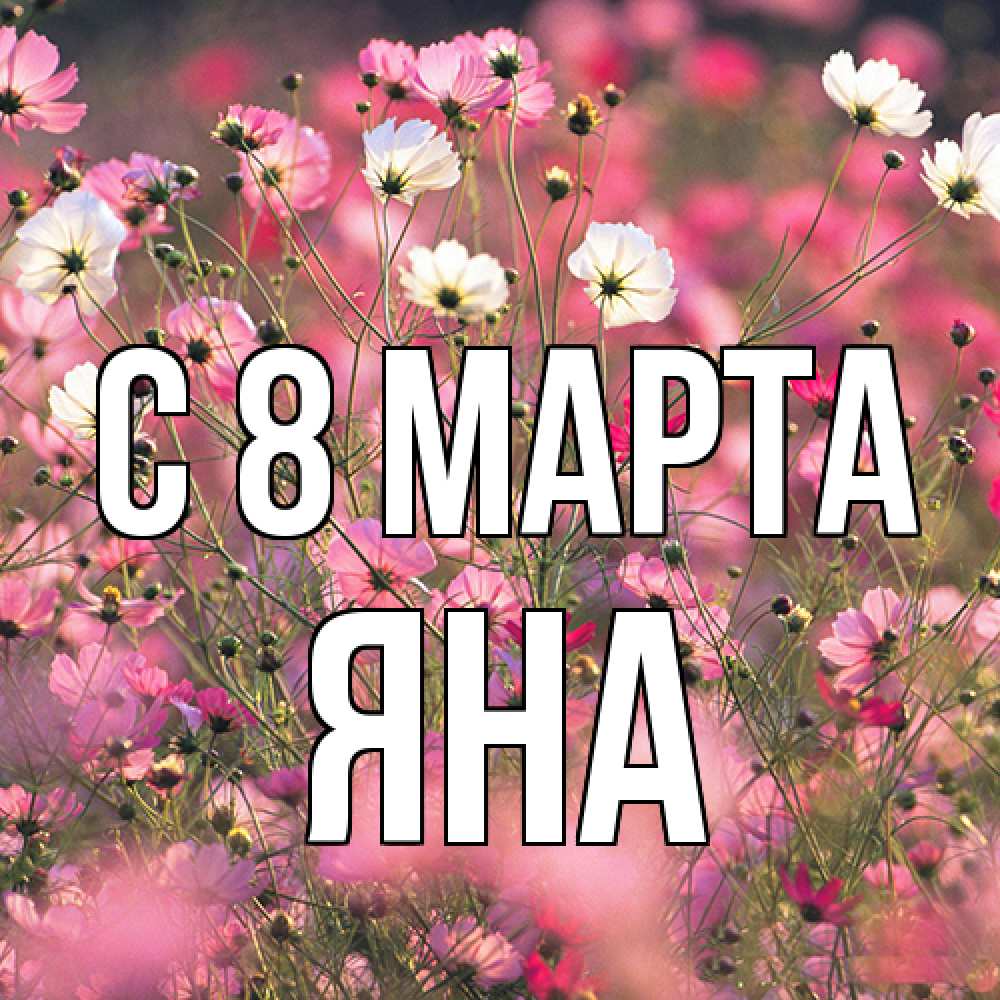 Открытка на каждый день с именем, Яна C 8 МАРТА красиво 1 Прикольная открытка с пожеланием онлайн скачать бесплатно 