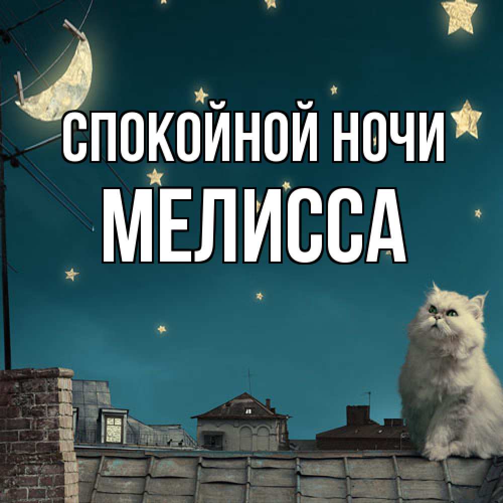 Открытка на каждый день с именем, Мелисса Спокойной ночи белый кот сидит на крыше Прикольная открытка с пожеланием онлайн скачать бесплатно 