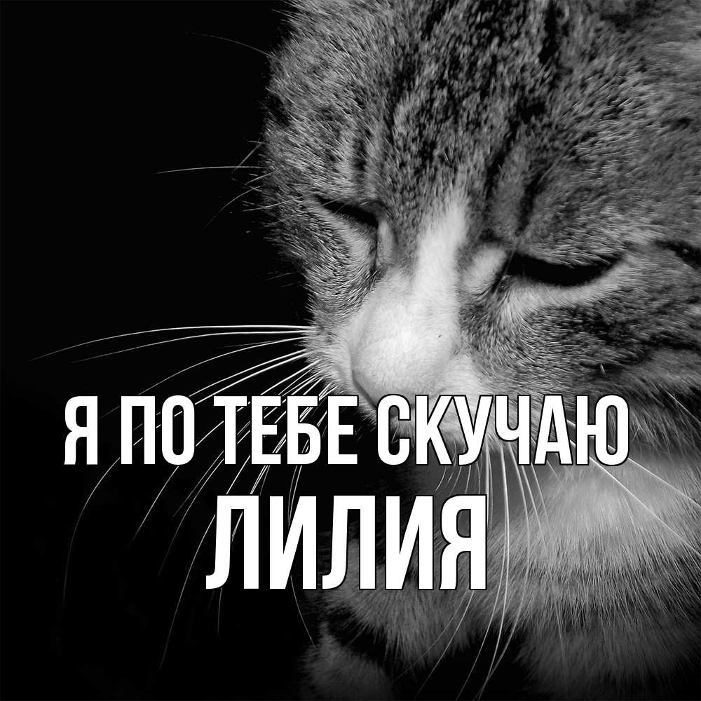 Открытка на каждый день с именем, Лилия Я по тебе скучаю мне скучно Прикольная открытка с пожеланием онлайн скачать бесплатно 
