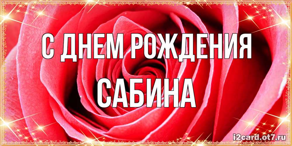 Открытка на каждый день с именем, Сабина С днем рождения розовая роза очень крупный бутон Прикольная открытка с пожеланием онлайн скачать бесплатно 