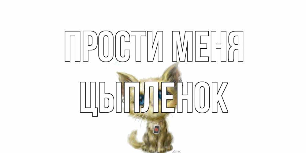 Открытка на каждый день с именем, Цыпленок Прости меня прости меня открытка с котиком Прикольная открытка с пожеланием онлайн скачать бесплатно 