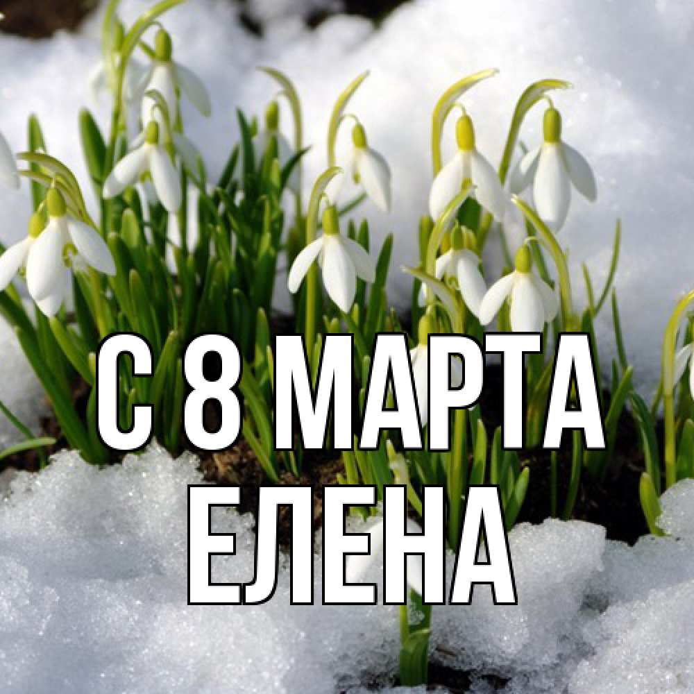 Открытка на каждый день с именем, Елена C 8 МАРТА цветы весенние Прикольная открытка с пожеланием онлайн скачать бесплатно 