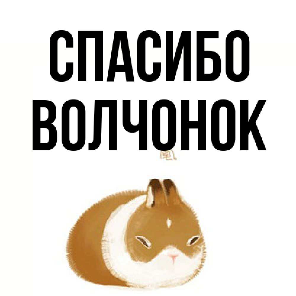 Открытка на каждый день с именем, Волчонок Спасибо коричнево белый домашний питомец Прикольная открытка с пожеланием онлайн скачать бесплатно 