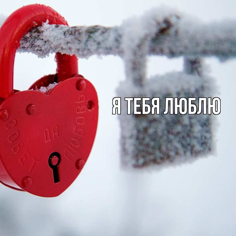 Картинка Я тебя люблю, 