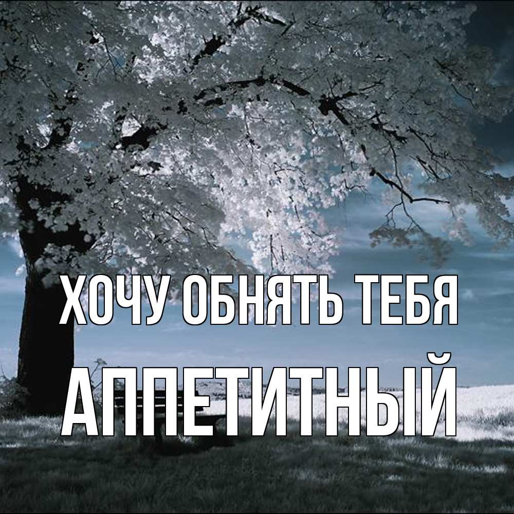 Открытка на каждый день с именем, Аппетитный Хочу обнять тебя дерево Прикольная открытка с пожеланием онлайн скачать бесплатно 