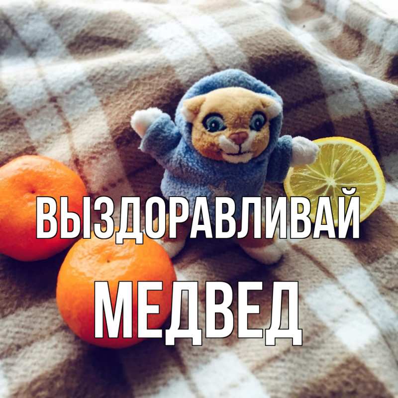 Картинка Выздоравливай, Медвед