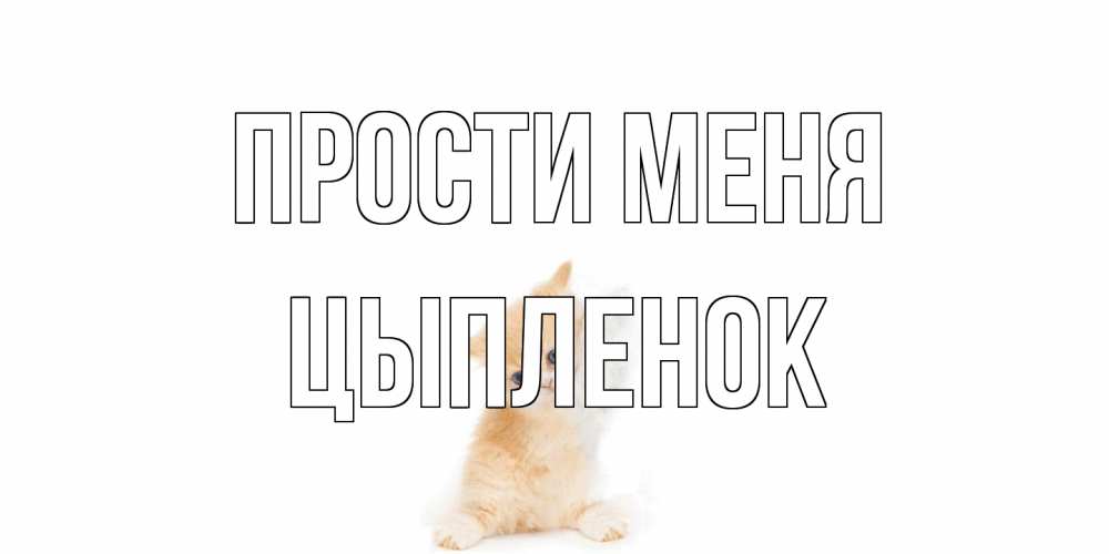 Открытка на каждый день с именем, Цыпленок Прости меня кот Прикольная открытка с пожеланием онлайн скачать бесплатно 