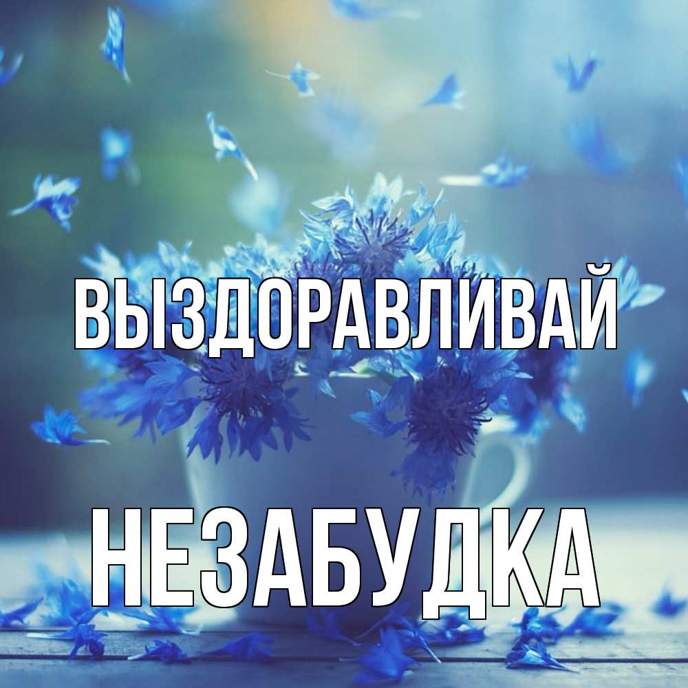 Открытка на каждый день с именем, Незабудка Выздоравливай кружка с зельем и цветами Прикольная открытка с пожеланием онлайн скачать бесплатно 