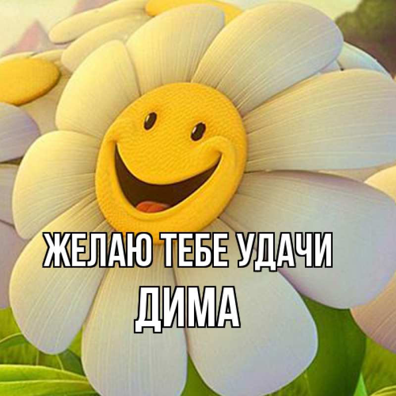 Открытка с именем, Дима, Желаю тебе удачи