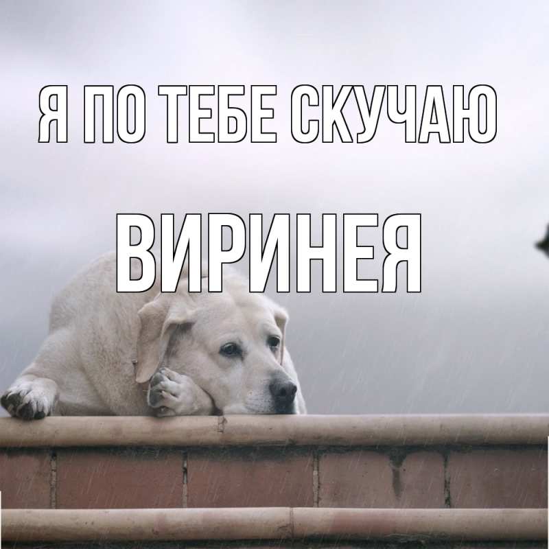 Картинка Я по тебе скучаю, Виринея