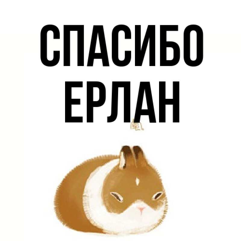 Открытка с именем, Ерлан, Спасибо