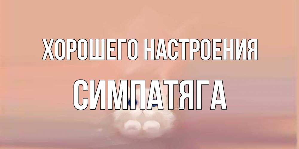 Открытка на каждый день с именем, Симпатяга Хорошего настроения кошка Прикольная открытка с пожеланием онлайн скачать бесплатно 
