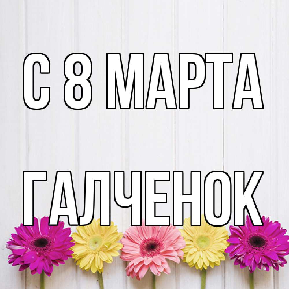 Открытка на каждый день с именем, Галченок C 8 МАРТА женщинам 1 Прикольная открытка с пожеланием онлайн скачать бесплатно 